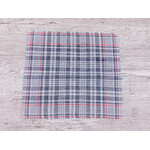 Носовичок чоловічий ES028 blue (35*37)
