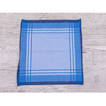 Носовичок чоловічий ES029 blue (31*29)