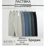 Бриджи жіночі A4100-1 mix (6XL-9XL)