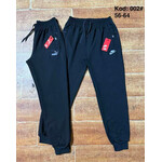 Спортивні штани чоловічі 002N black (56-64)
