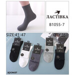Шкарпетки чоловічі B1055-7 mix (41-47)