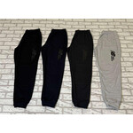 Спортивні штани чоловічі E1401 l.grey (50-58)