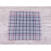 Носовичок чоловічий ES028 blue (35*37)