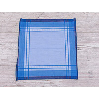 Носовичок чоловічий ES029 blue (31*29)