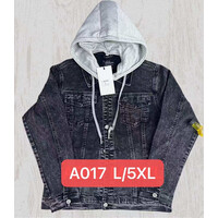 Куртка чоловіча A017 grey (L-5XL)