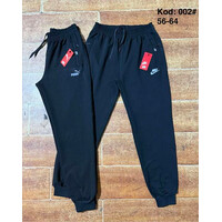 Спортивні штани чоловічі 002N black (56-64)