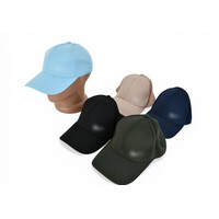 Кепка мужская AN001-4 mix (в пачке 5 шт. р.One size)