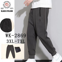 Спортивні штани чоловічі WK2869 grey (3XL-7XL)