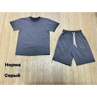 Костюм чоловічий NW1325 grey (L-3XL)