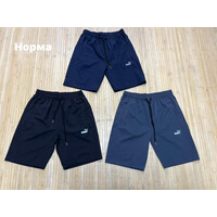 Шорти чоловічі NW1326 navy (48-56)
