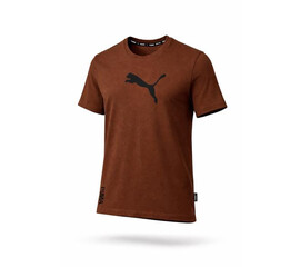 Футболка чоловіча 14418 brown (S-2XL)