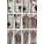 Костюм жіночий сорочка+штани+топ+шорти 0242 (42-44,46-48)