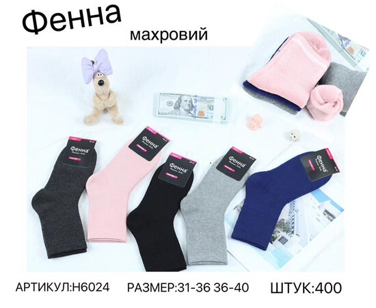 Шкарпетки дитячі (зима) H6024 mix (31-40) махра