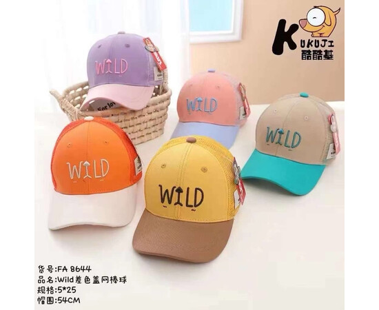 Кепка дитяча на дівчинку сіточка Wild (р54)