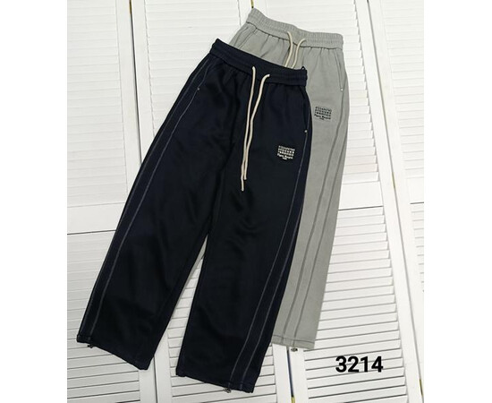 Спортивні штани чоловічі 3214 grey (48-54)