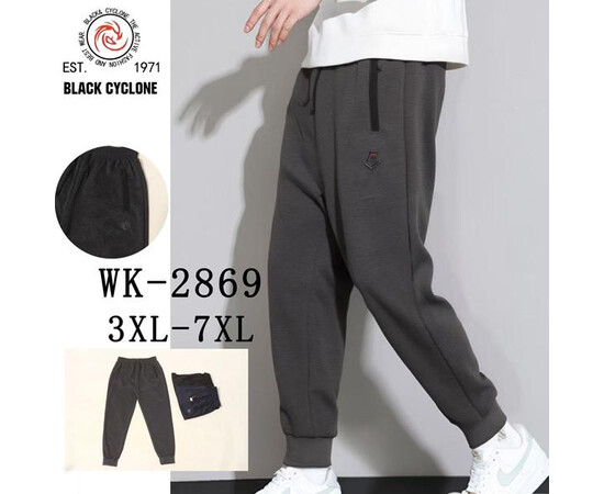 Спортивні штани чоловічі WK2869 grey (3XL-7XL)