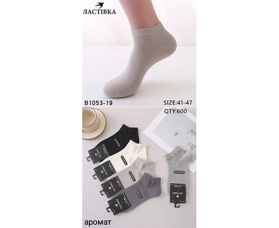 Шкарпетки чоловічі B1053-19 mix (41-47)