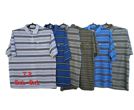 Футболка чоловіча T2 mix (5XL-8XL)