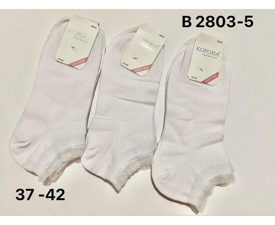 Шкарпетки жіночі B2803-5 white (37-42)