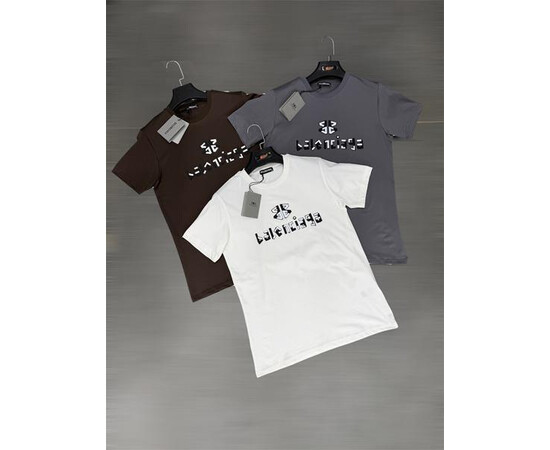 Футболка чоловіча F1413 grey (S-2XL)